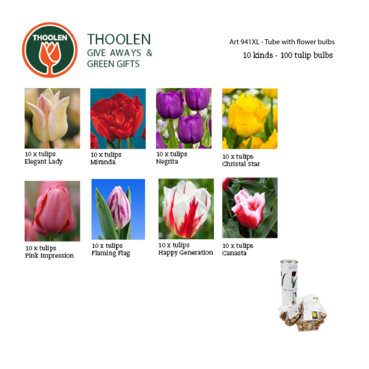 Tube XL with 8 bags of 10 tulip bulbs - Image 3