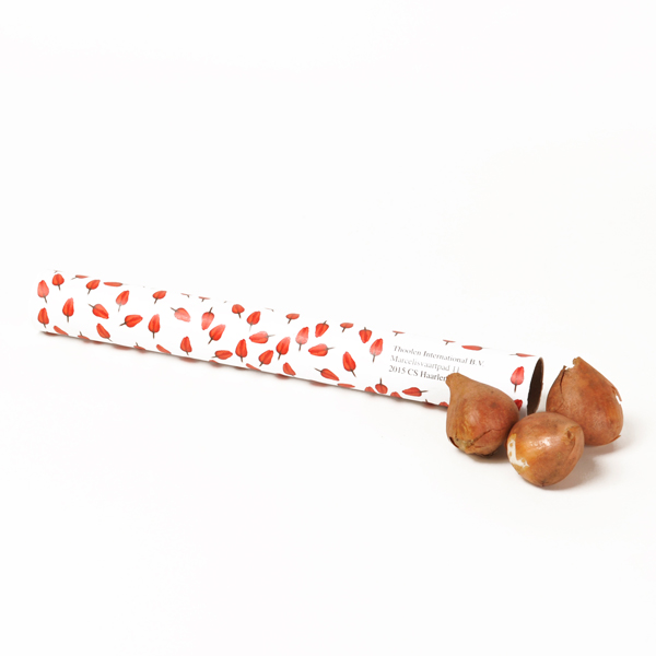 Flower tube for the post box - Image 5