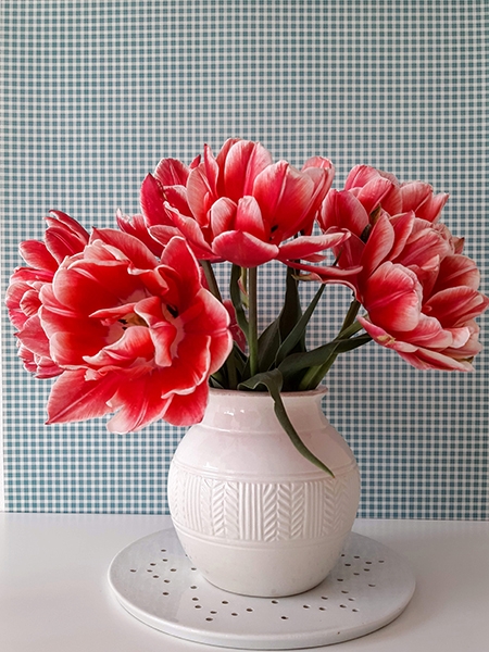 tulip montessori